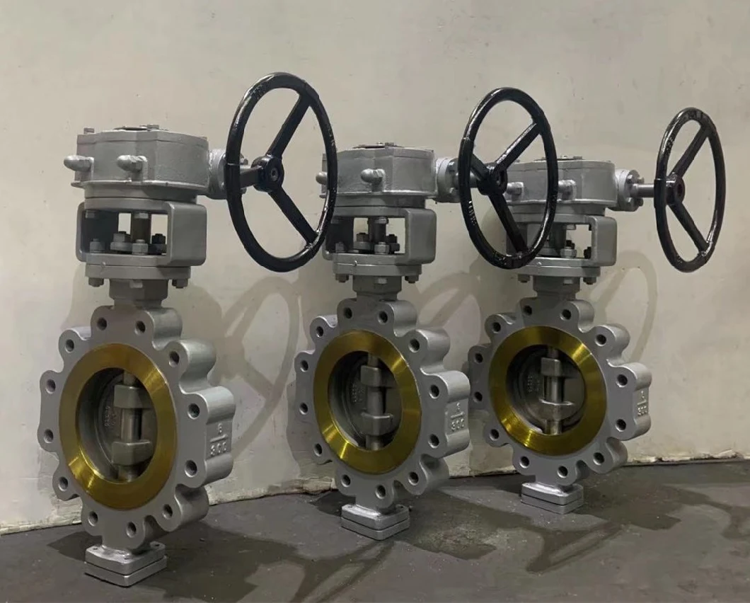 Industry SS304/SS316/Di Ci Wcb Body EPDM PTFE Rubber Seat Lug/Wafer/ Flange RF Double Triple Eccentric Butterfly Valve